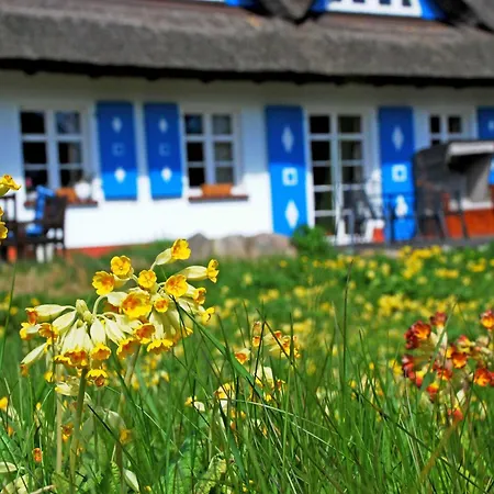 Unterm Reetdach Nyaraló