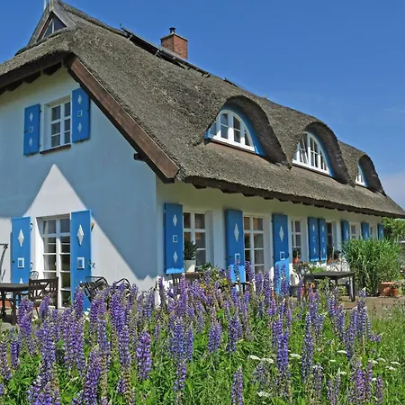 Unterm Reetdach Nyaraló Sellin