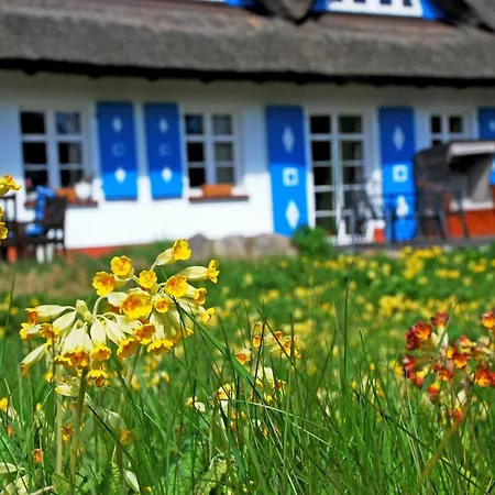 Apartment Unterm Reetdach *