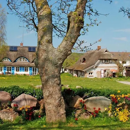 Unterm Reetdach